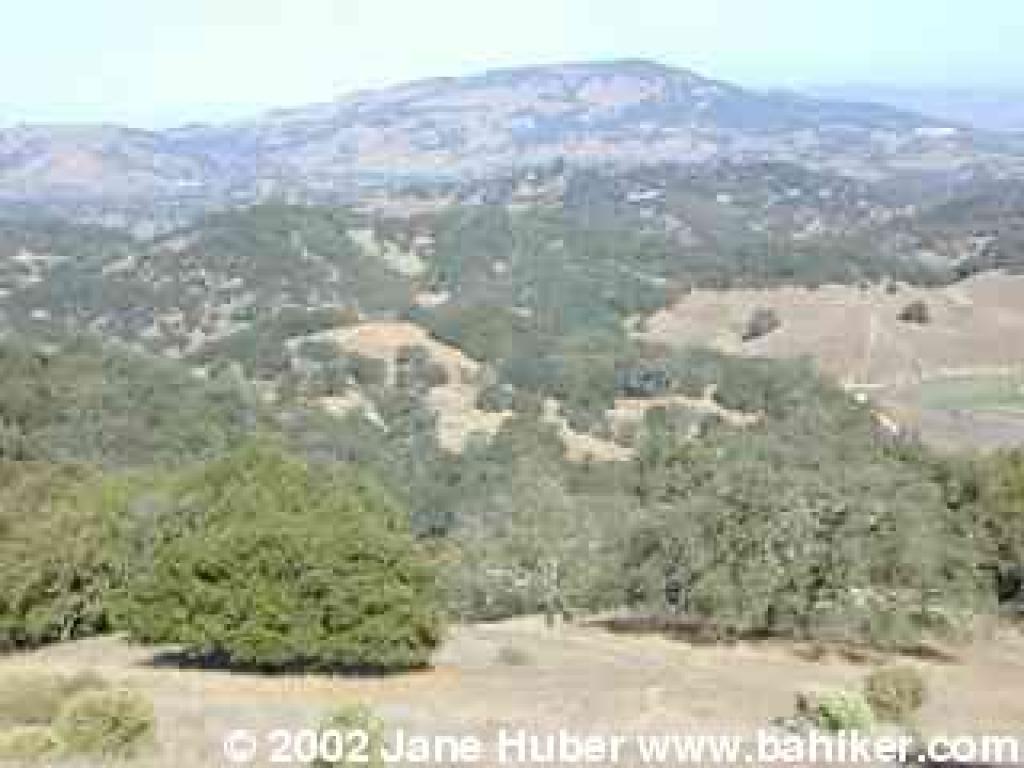 View to Mount Burdell from Montura Fire Road