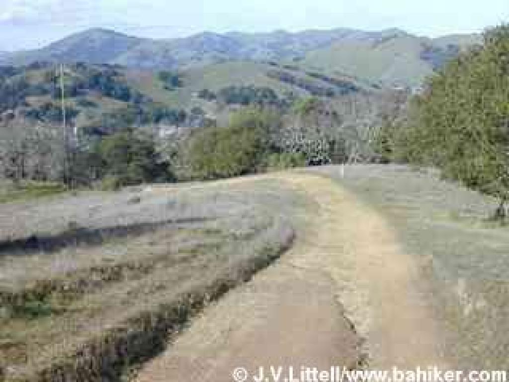 The lower reaches of Indian Tree Fire Road