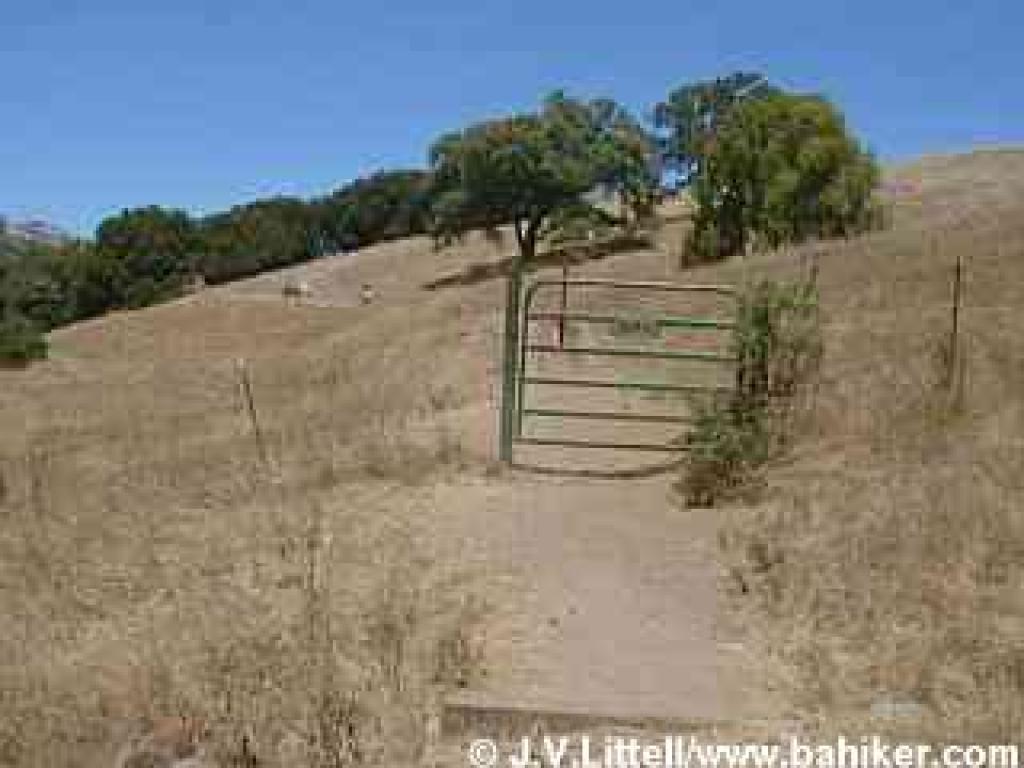 Photo from Indian Tree Open Space Preserve, where equestrian trail use is high