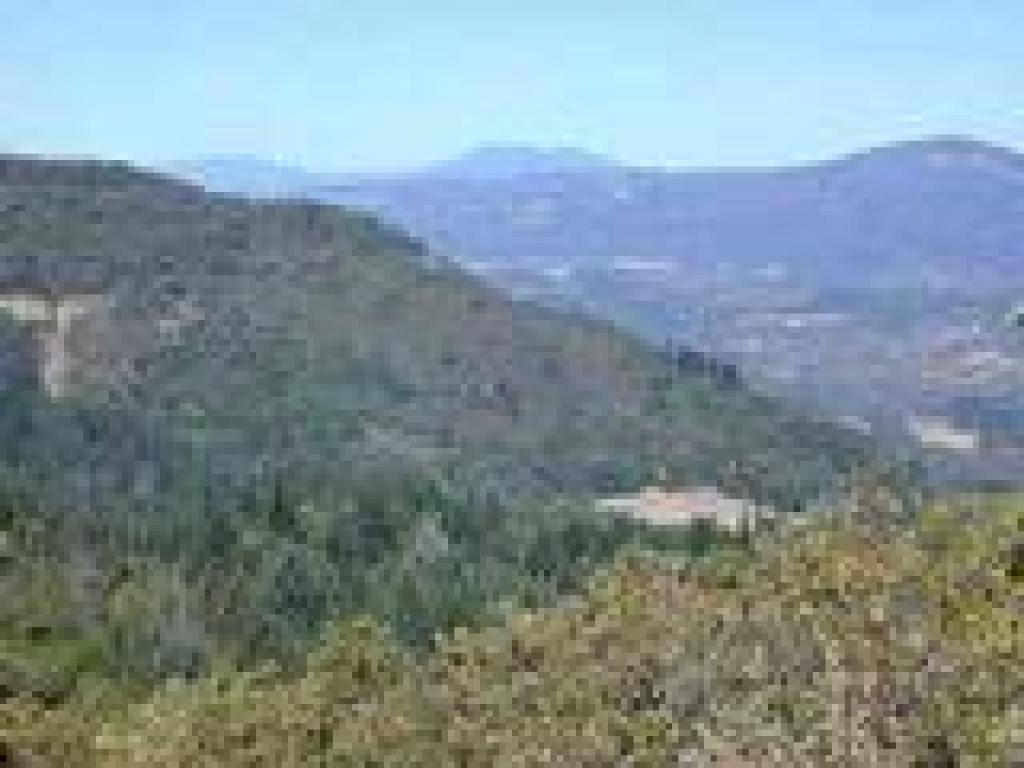 View north to Mount St. Helena