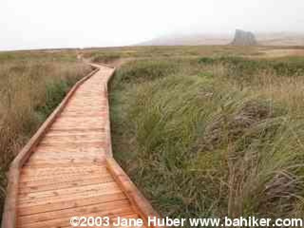 Boardwalk