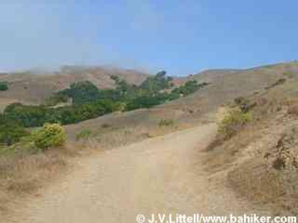 Smith Fire Road in summer