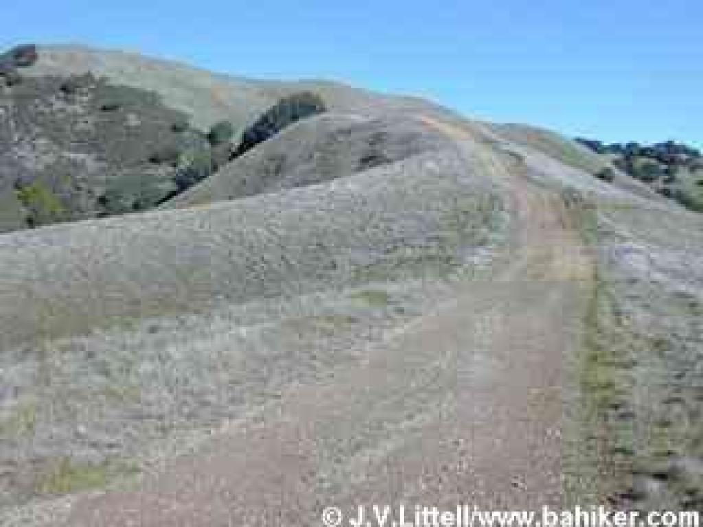 Luiz Fire Road