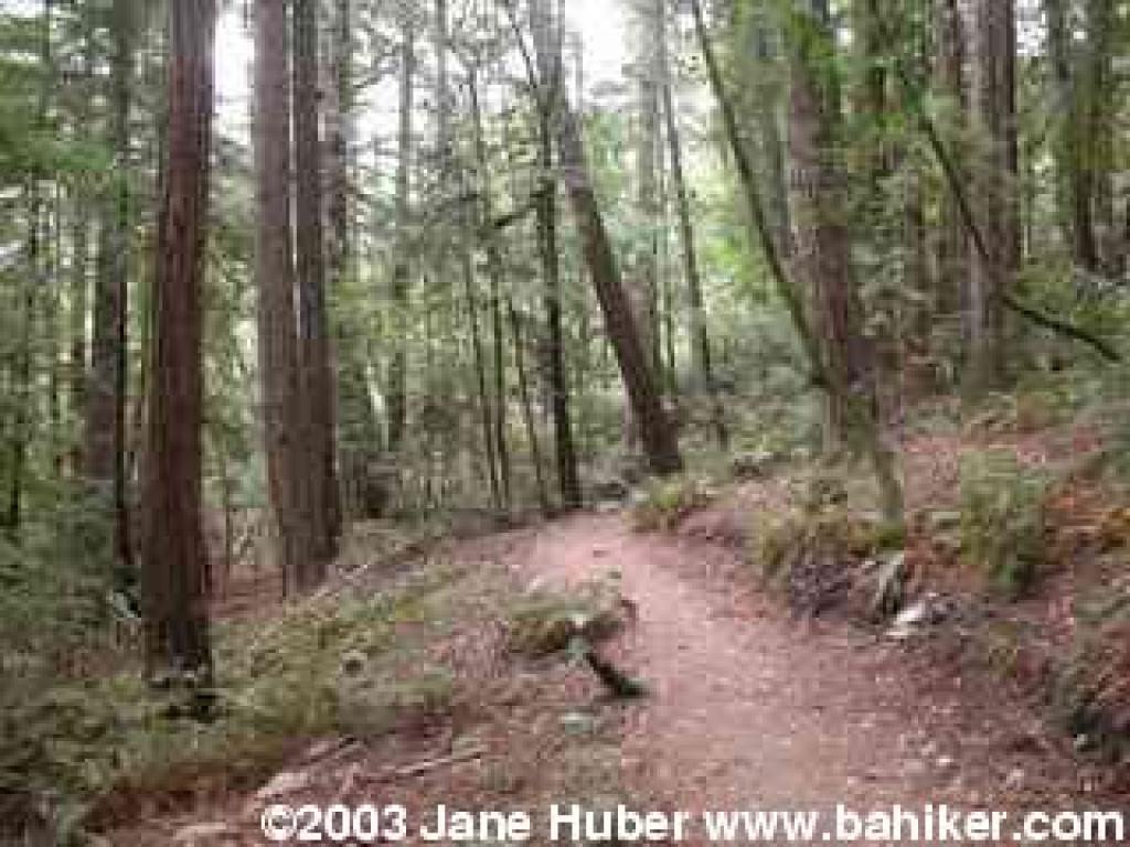 Bootjack Trail