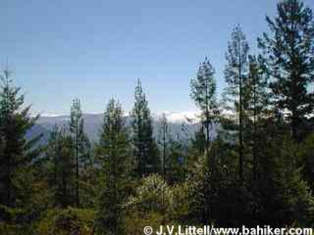 View from Troop 80 Trail