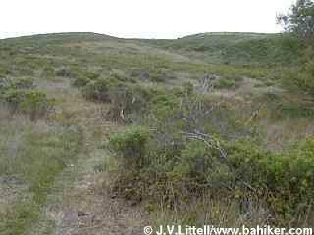 Estero Trail