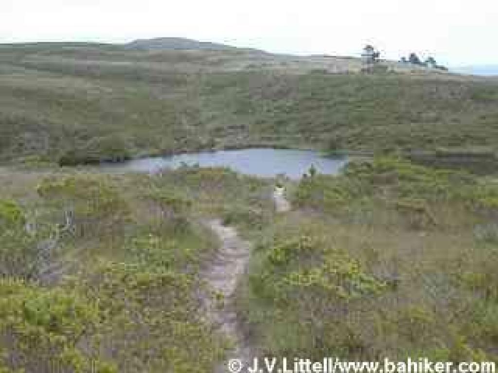 Descending toward Muddy Hollow Road on Estero Trail