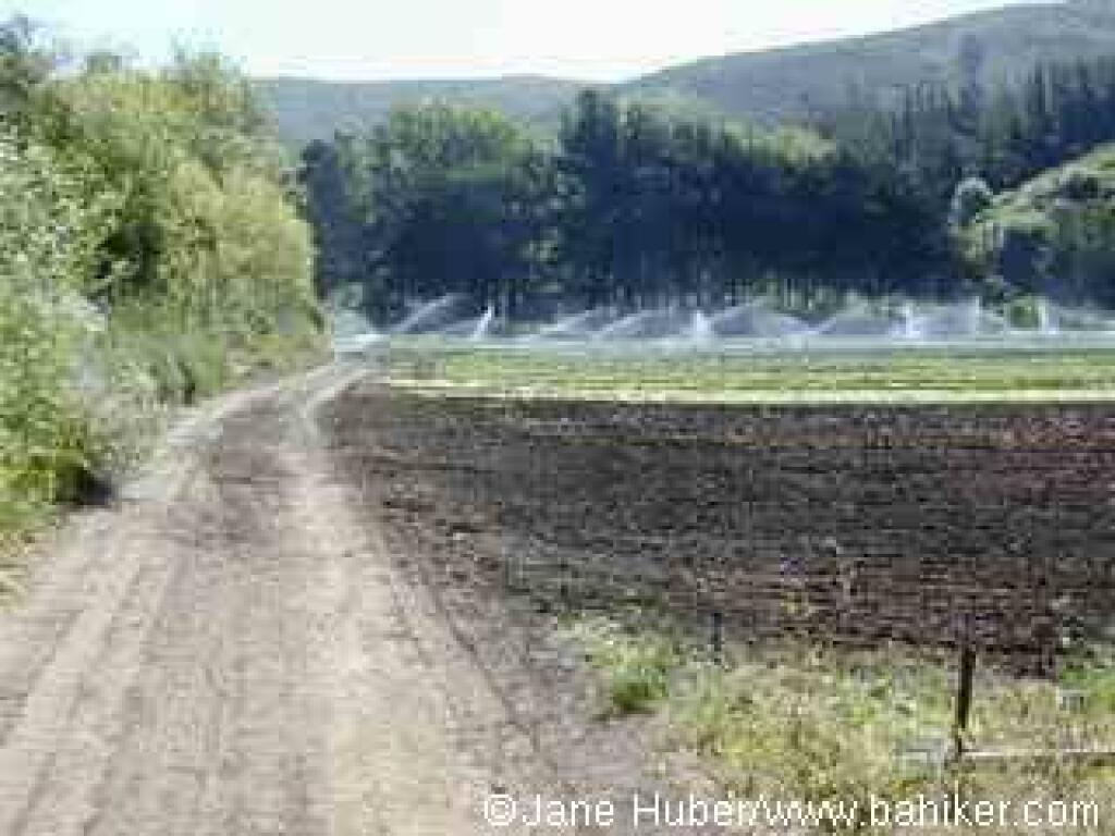 Green Gulch Farm