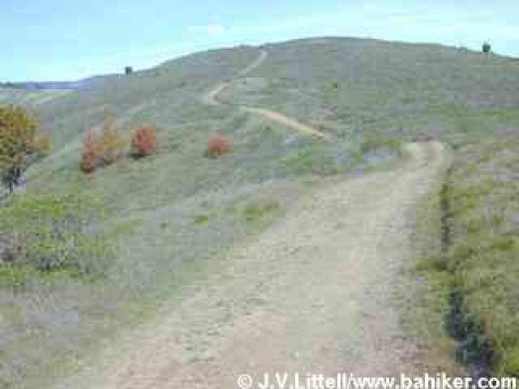 Coastal Fire Road