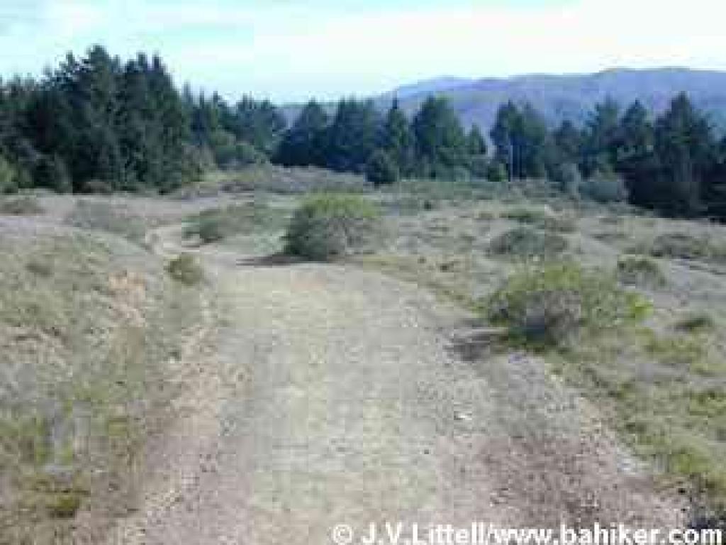 Deer Park Fire Road