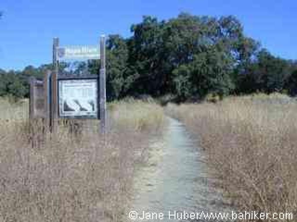 An intrepretive display at the start of the trail