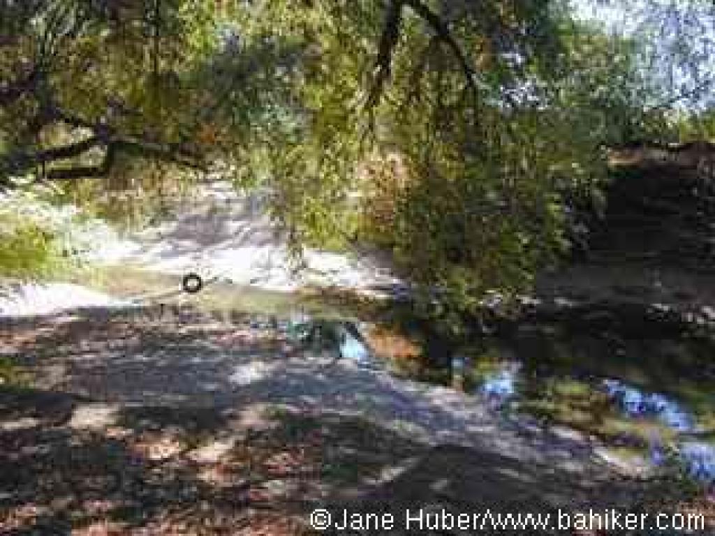 A view to the Napa River from the trail