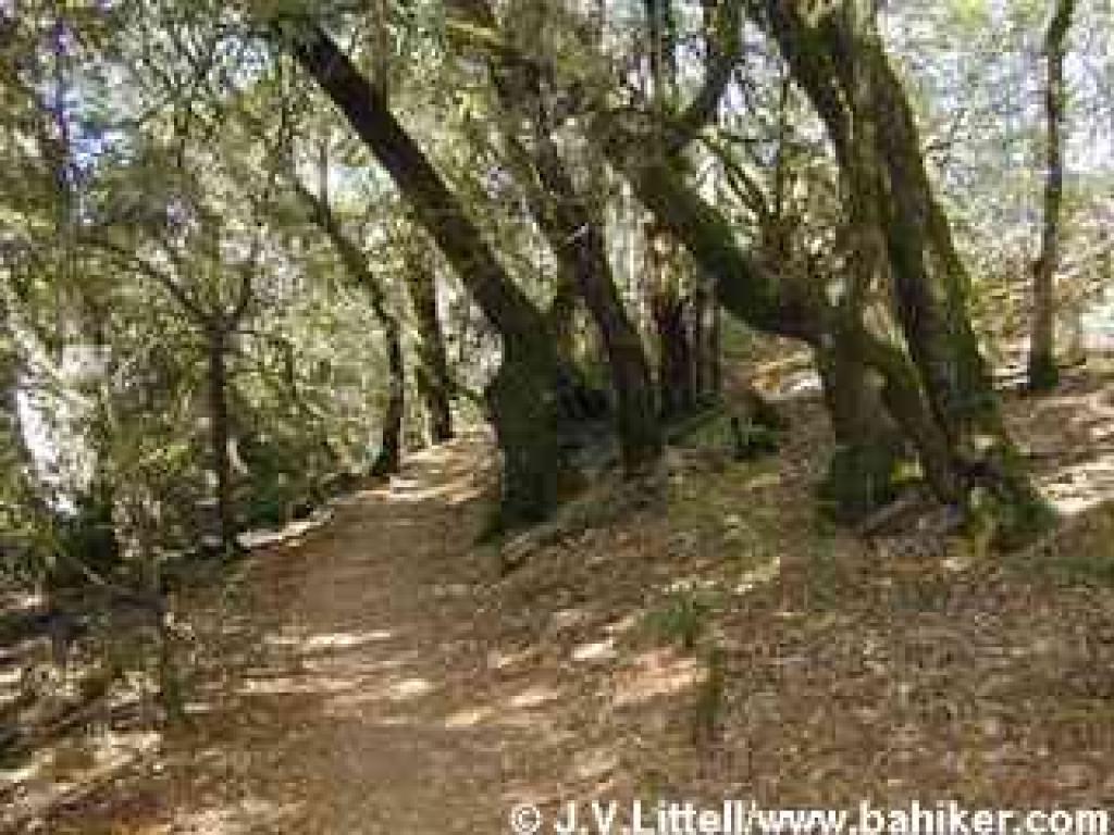 Easy Grade Trail