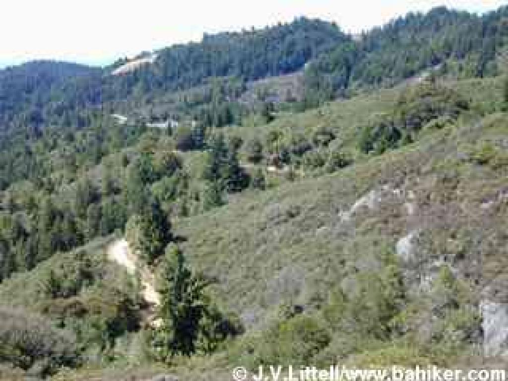 View to Old Stage Road from Rock Spring Trail