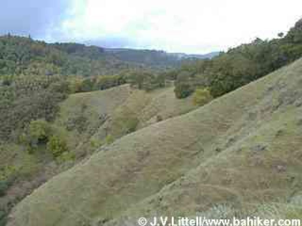 View from Yolanda Trail