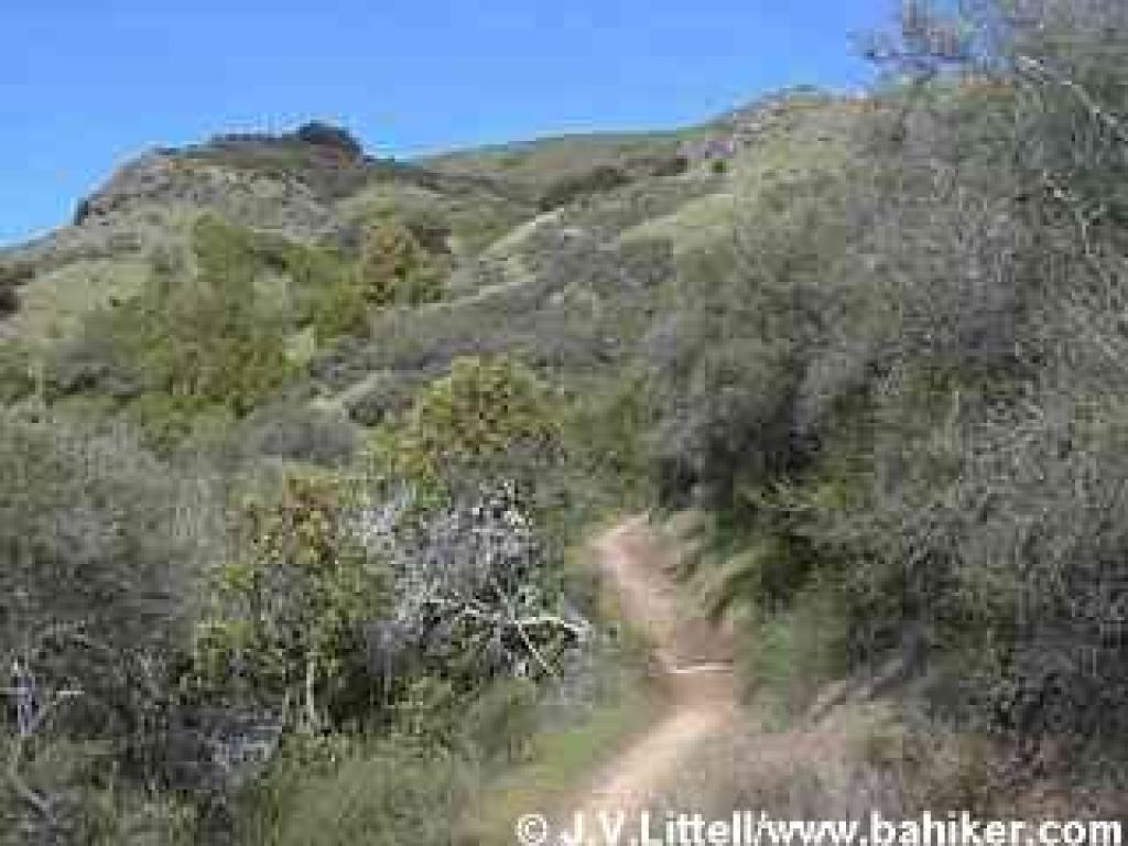 Yolanda Trail