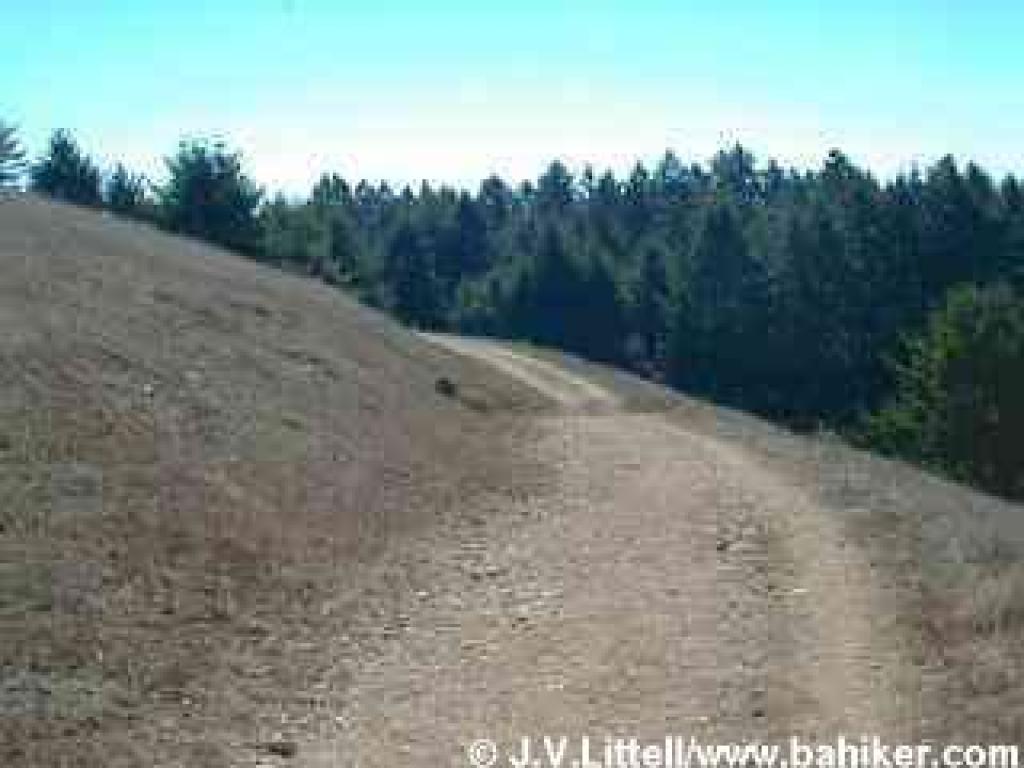 Mount Wittenberg Trail