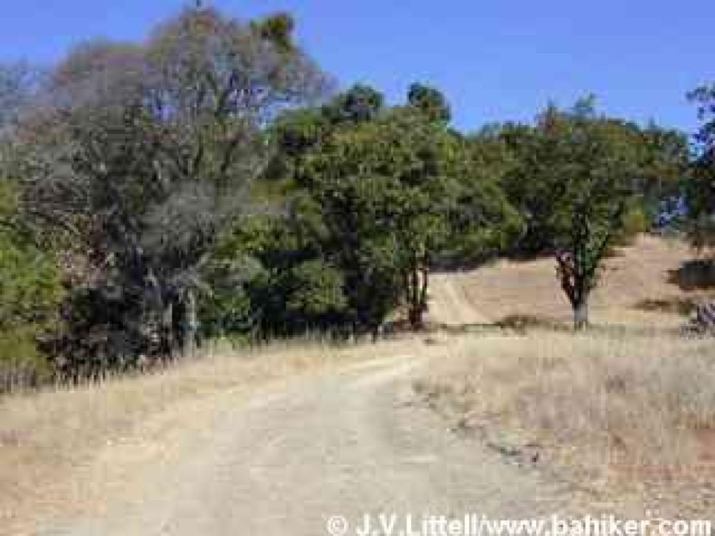 Climbing on Little Cat Fire Road