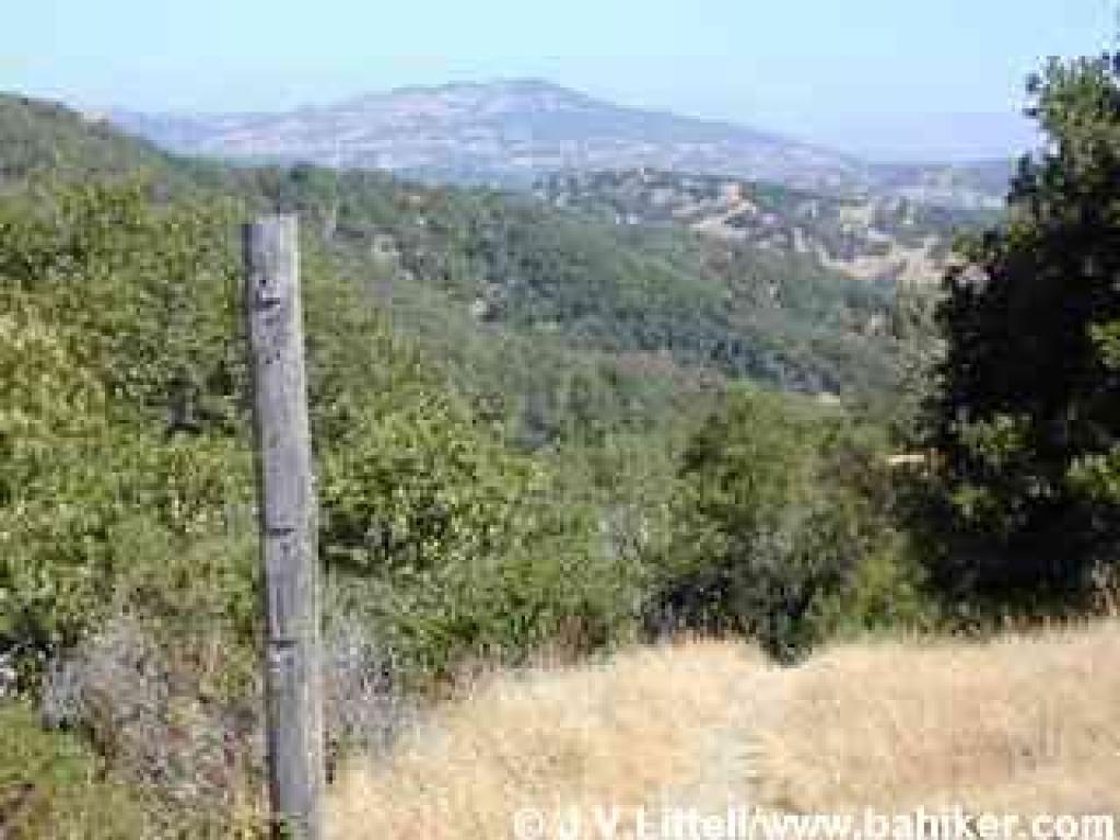 View north to Mount Burdell