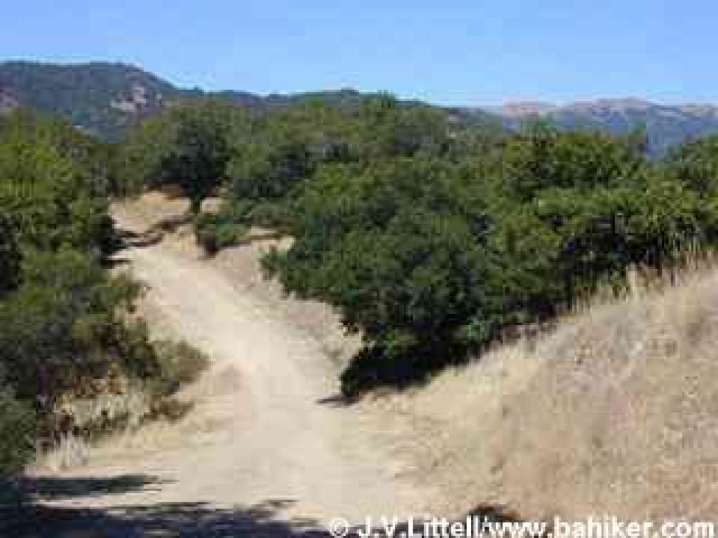 Looking back to Big Rock RIdge