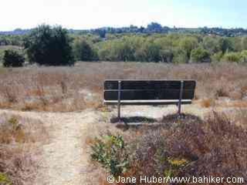 Bench on Hilltop Trail