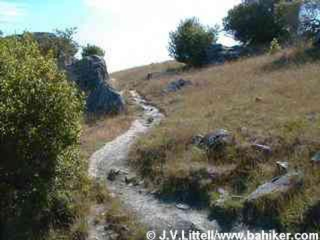 Phyllis Ellman Loop Trail