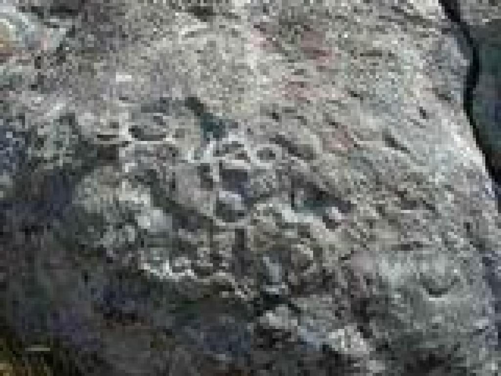 Rock carvings