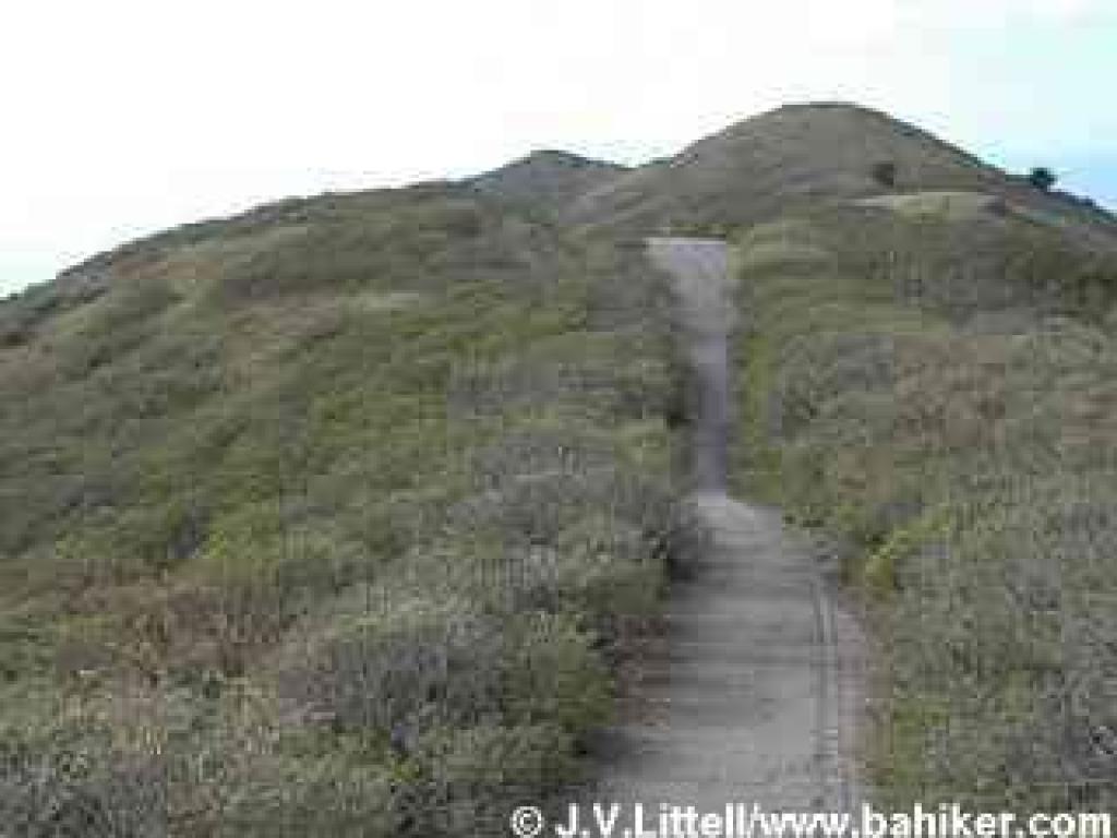 Coastal Trail