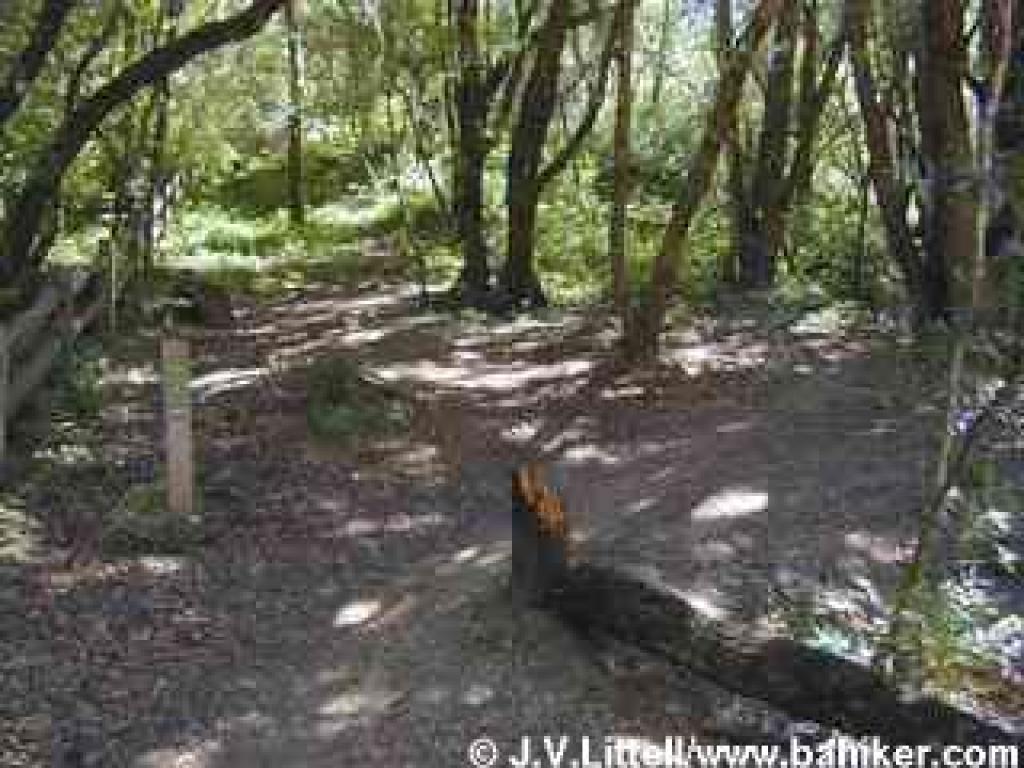 Loop Trail
