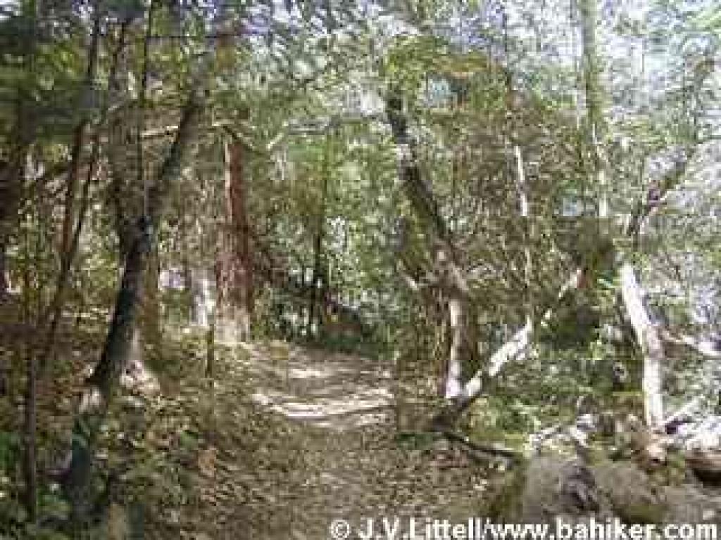 Thorner Ridge Trail