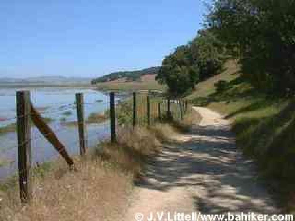 Photo of Pinheiro Fire Road