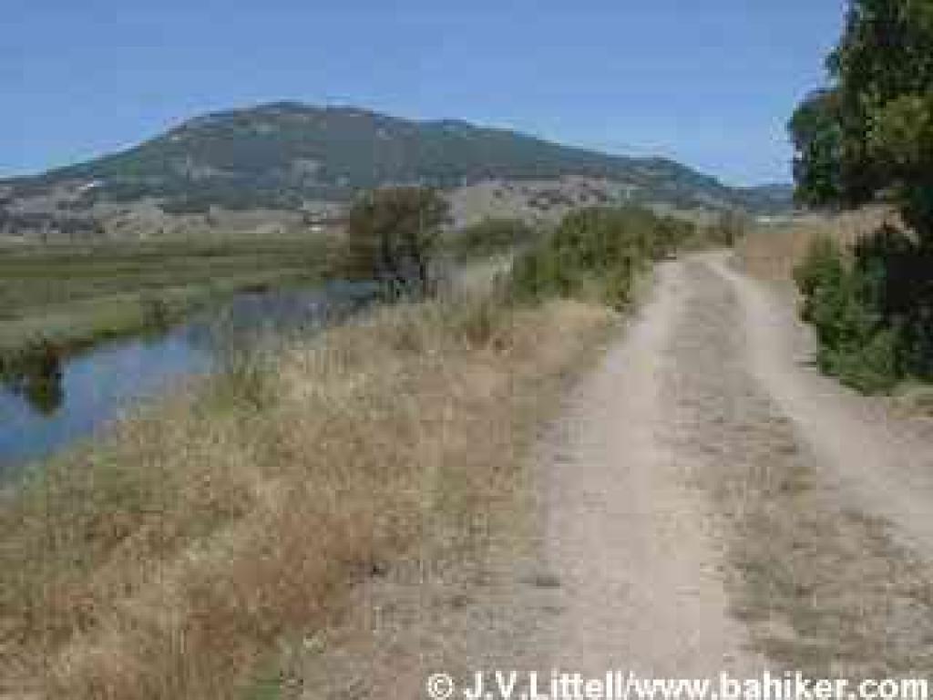 Photo of Pinheiro Fire Road