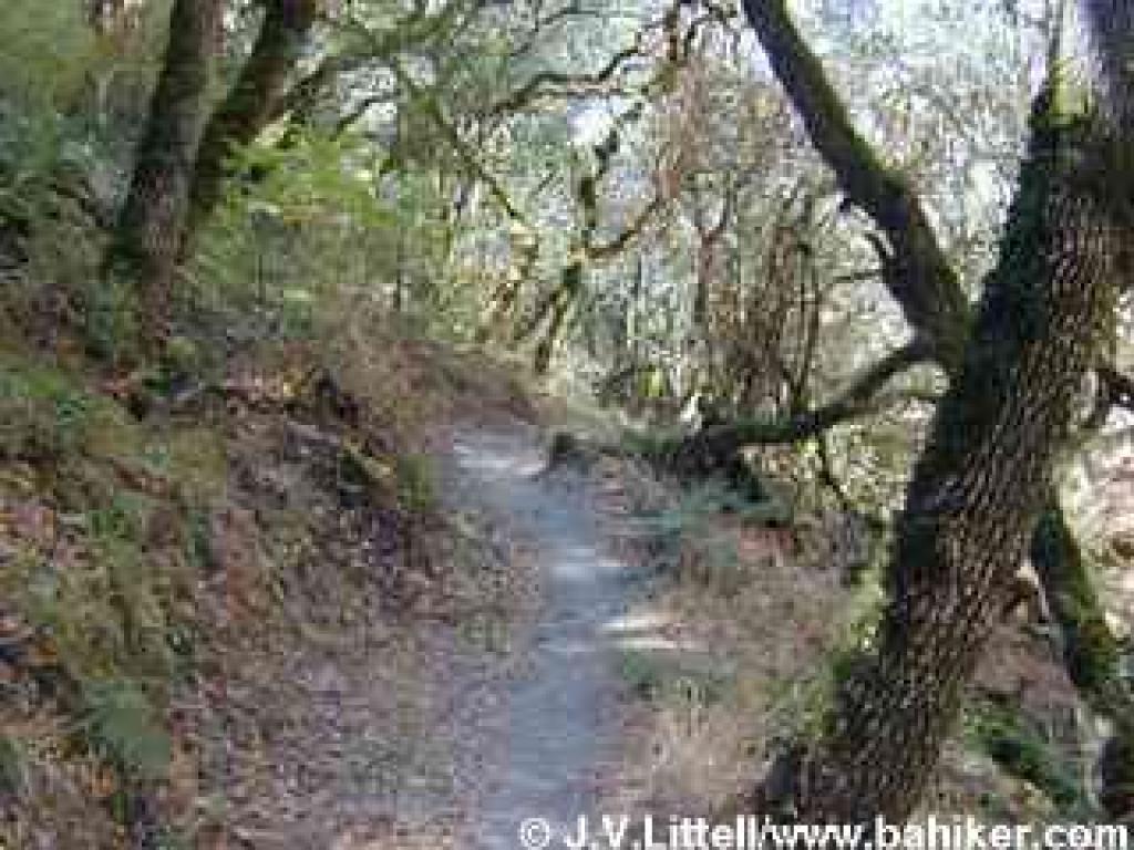 Creekside Trail