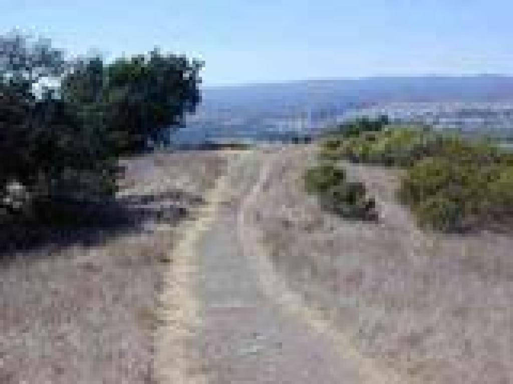 Path to bench and viewpoint