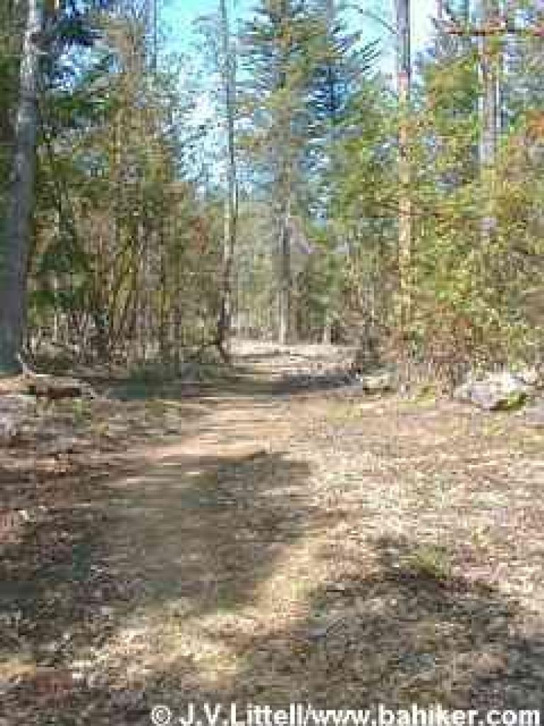 Photo of Sky Oaks-Lagunitas Trail