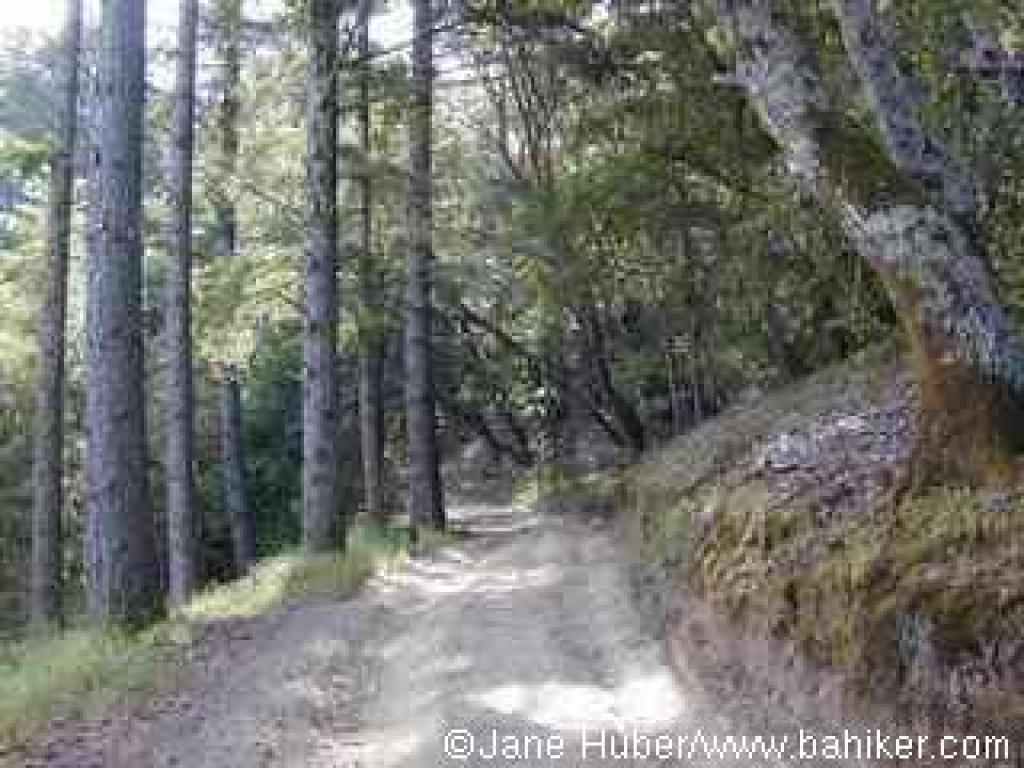 Lakeview Fire Road