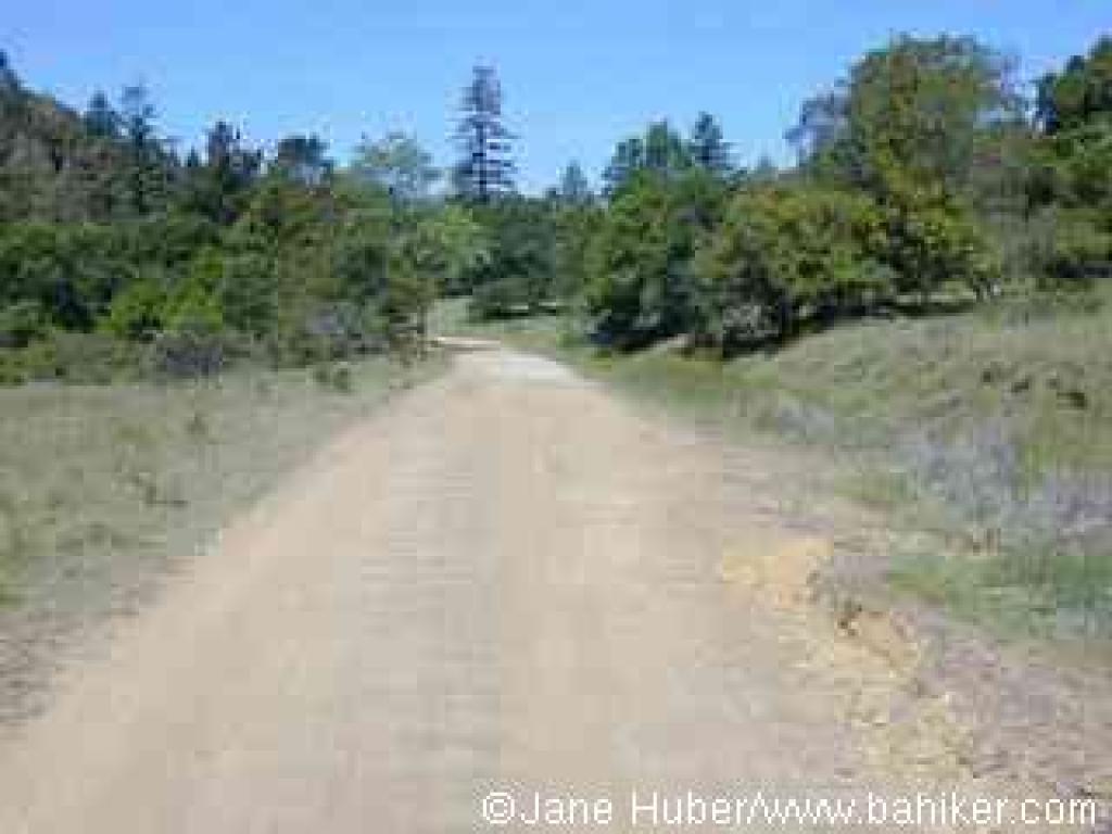 Lakeview Fire Road