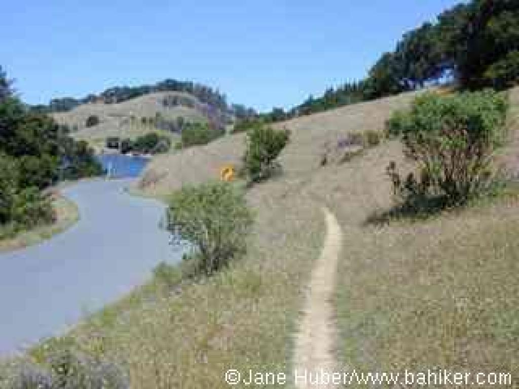 Sky Oaks-Lagunitas Trail