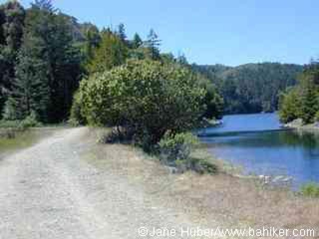Returning, along the shore of Bon Tempe Lake