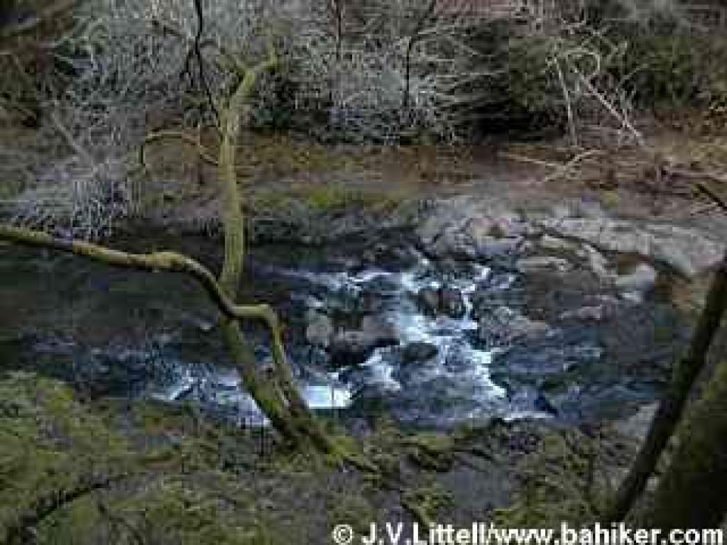 Papermill Creek