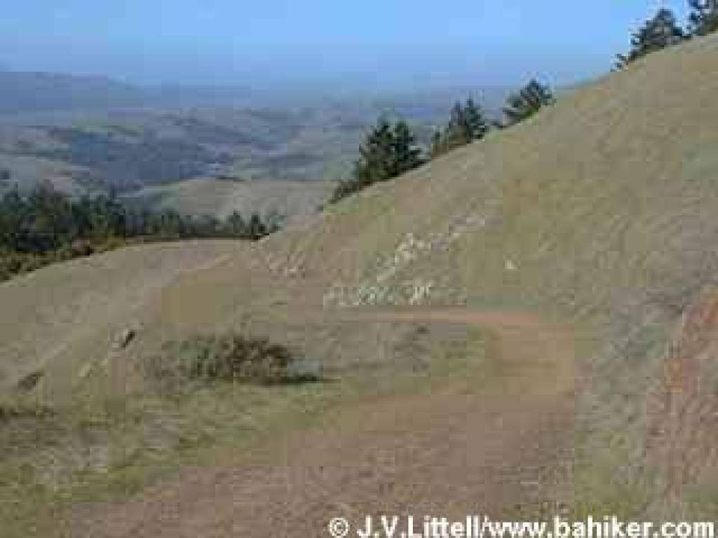 Descending on Barnabe Trail