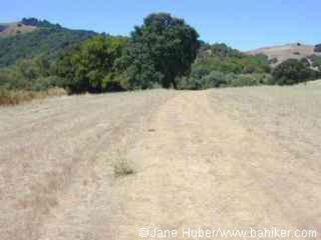 Trail departs the developed area of the park