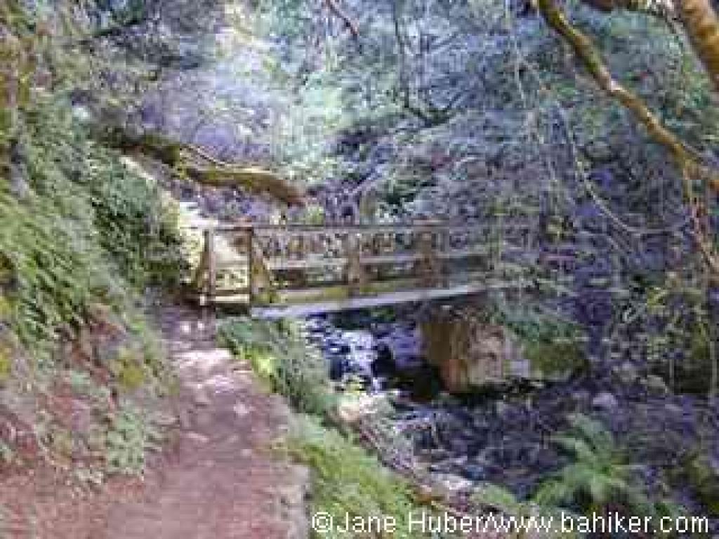 Matt Davis Trail