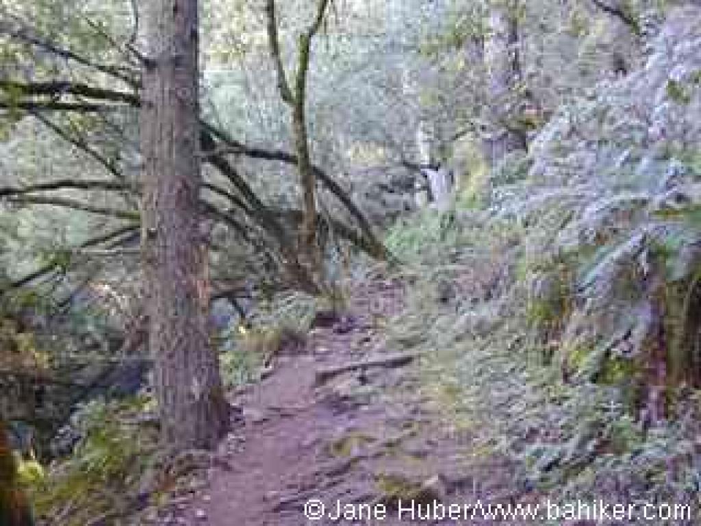 Matt Davis Trail