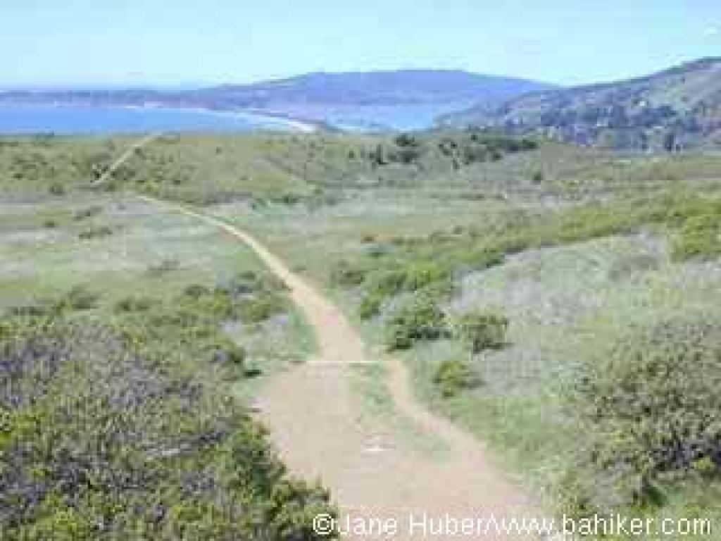 Dipsea Trail