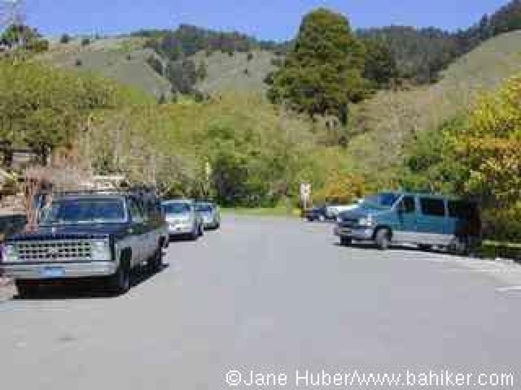 Side of street parking on Belvedere Avenue