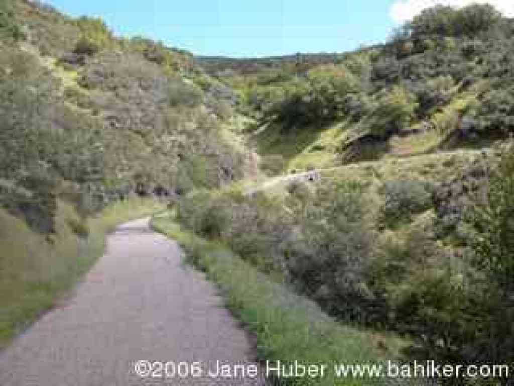 Bald Mountain Trail