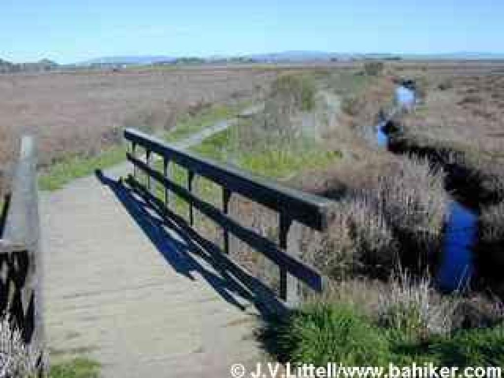 Bridge on levee trail