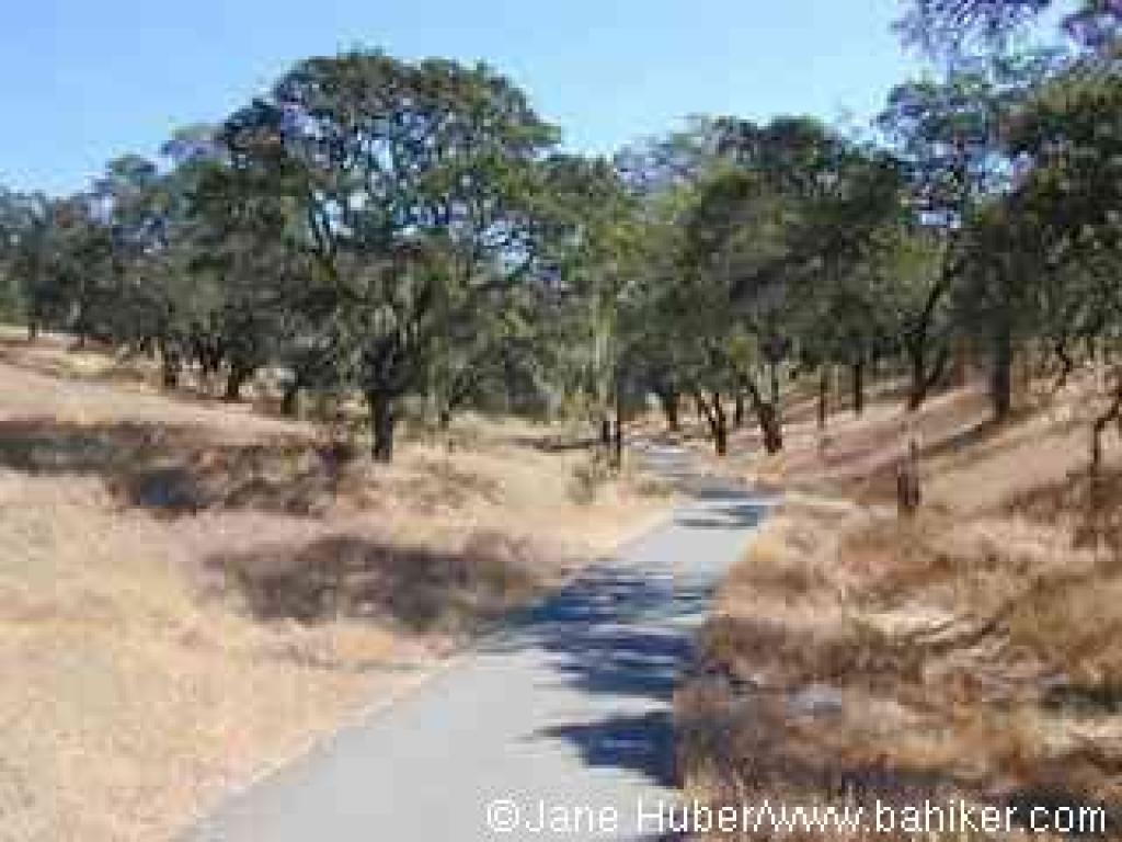 The paved trail