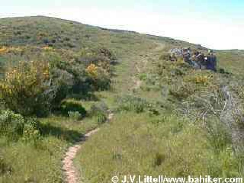 Miwok Trail